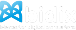 BIDIX Consultora